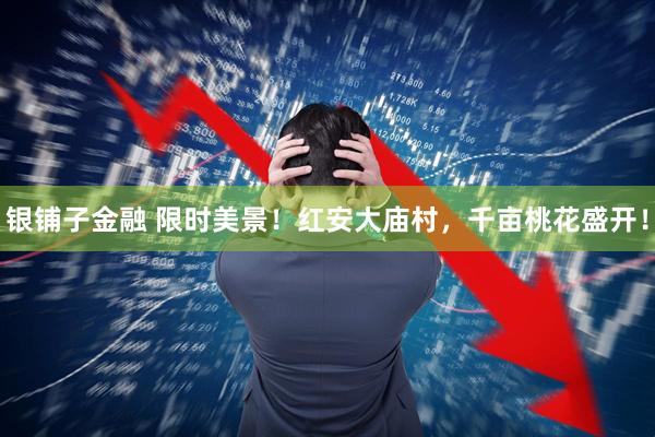 银铺子金融 限时美景！红安大庙村，千亩桃花盛开！