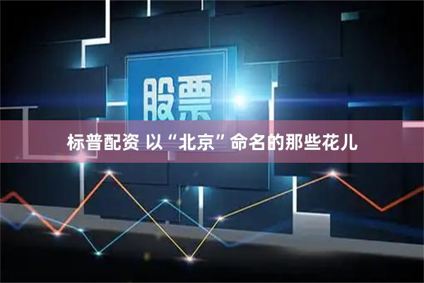 标普配资 以“北京”命名的那些花儿