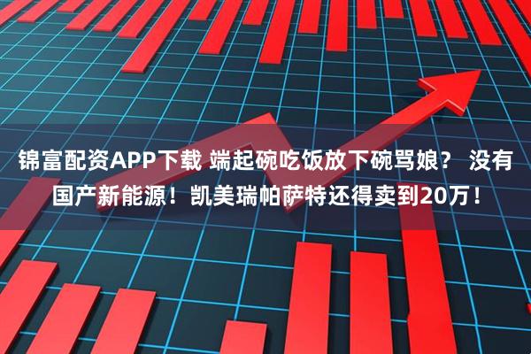 锦富配资APP下载 端起碗吃饭放下碗骂娘? 没有国产新能源!凯美瑞帕萨特还得卖到20万!