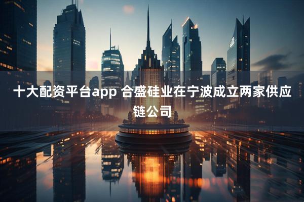 十大配资平台app 合盛硅业在宁波成立两家供应链公司